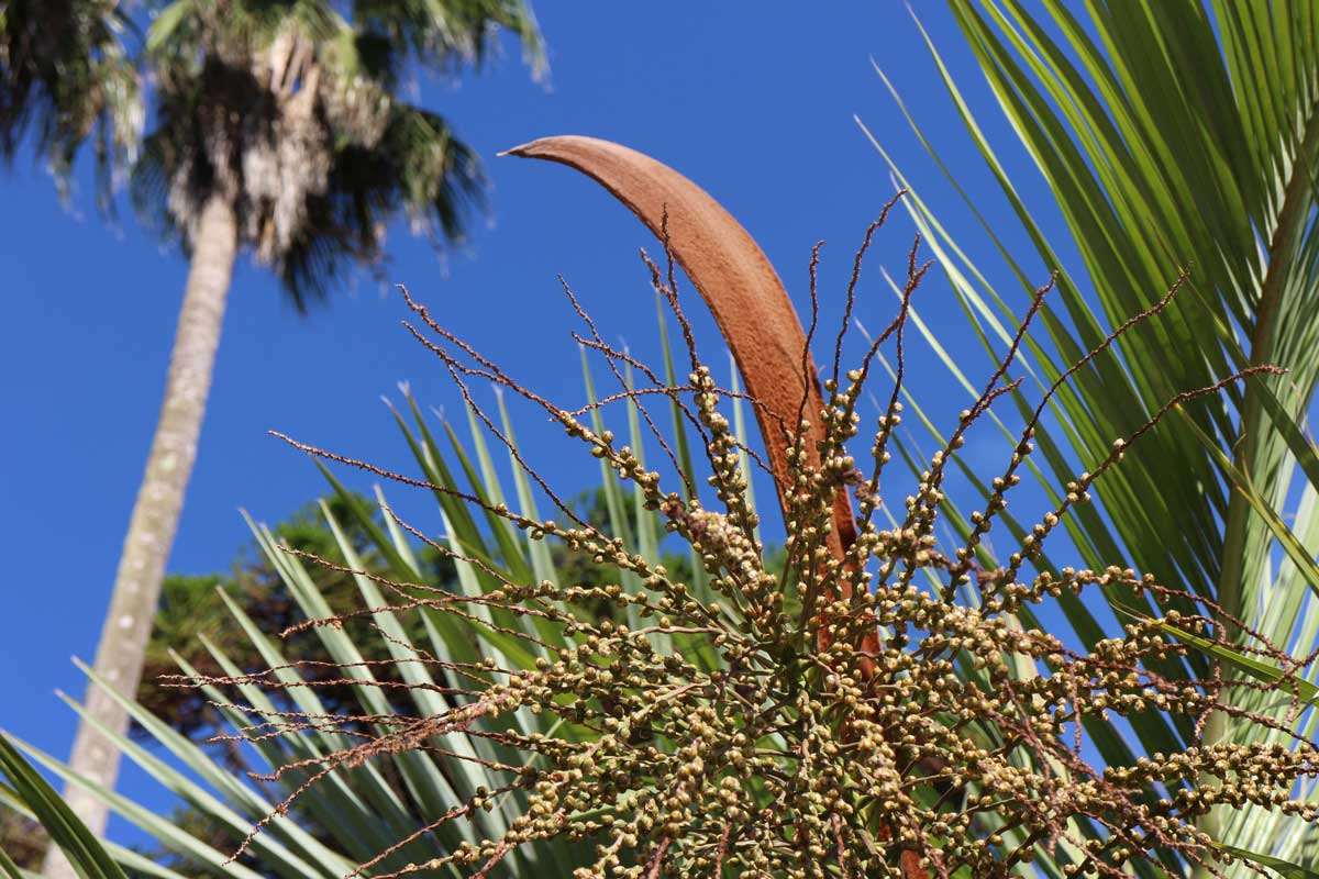 atmosphere photo by Joana Pimenta