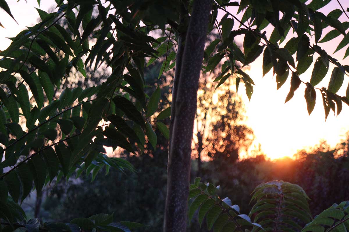 atmosphere photo by Joana Pimenta