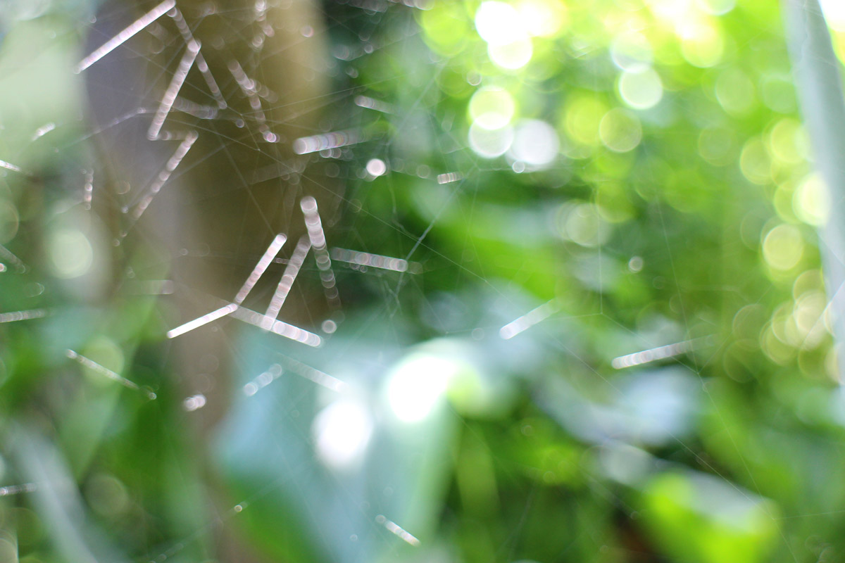 chain photo by Joana Pimenta