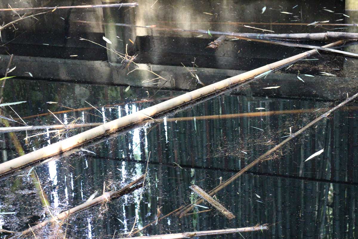 chain photo by Joana Pimenta