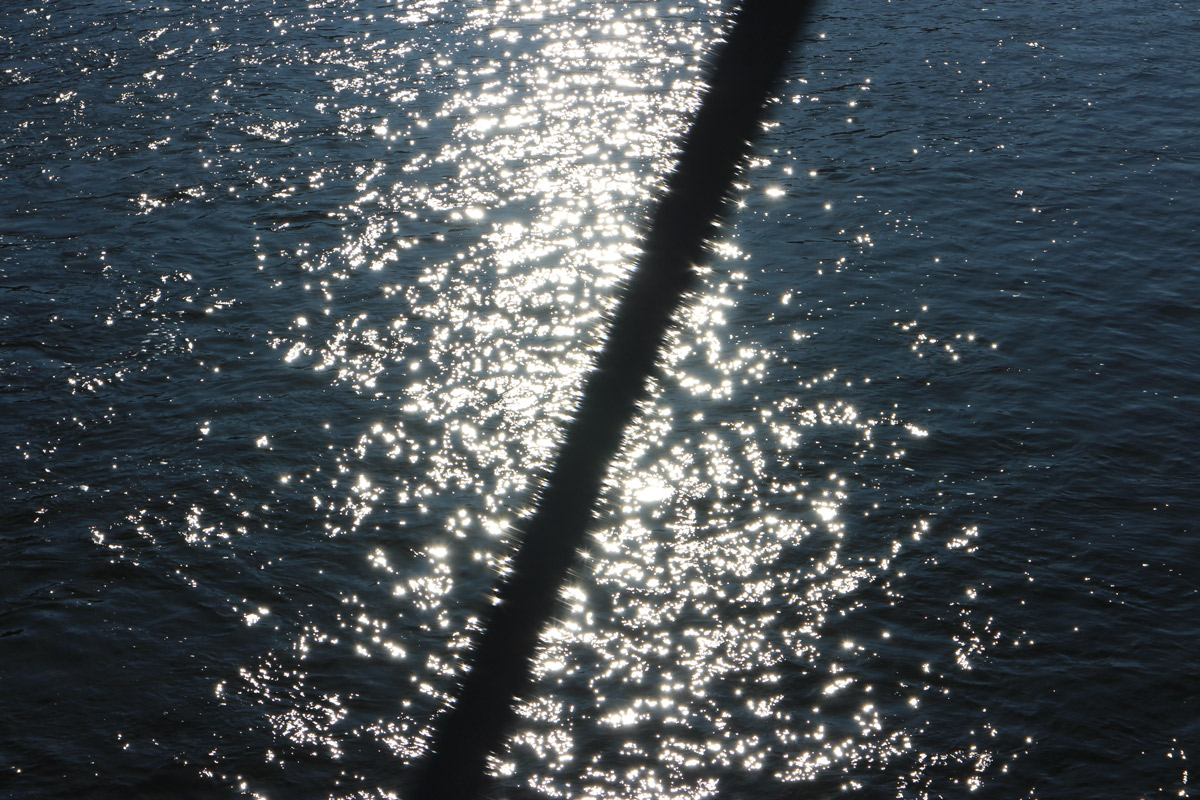 raia photo by Joana Pimenta