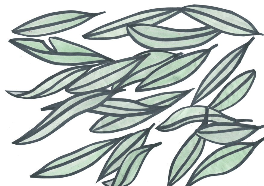 hand drawnleafs been blown by the wind animation by sara