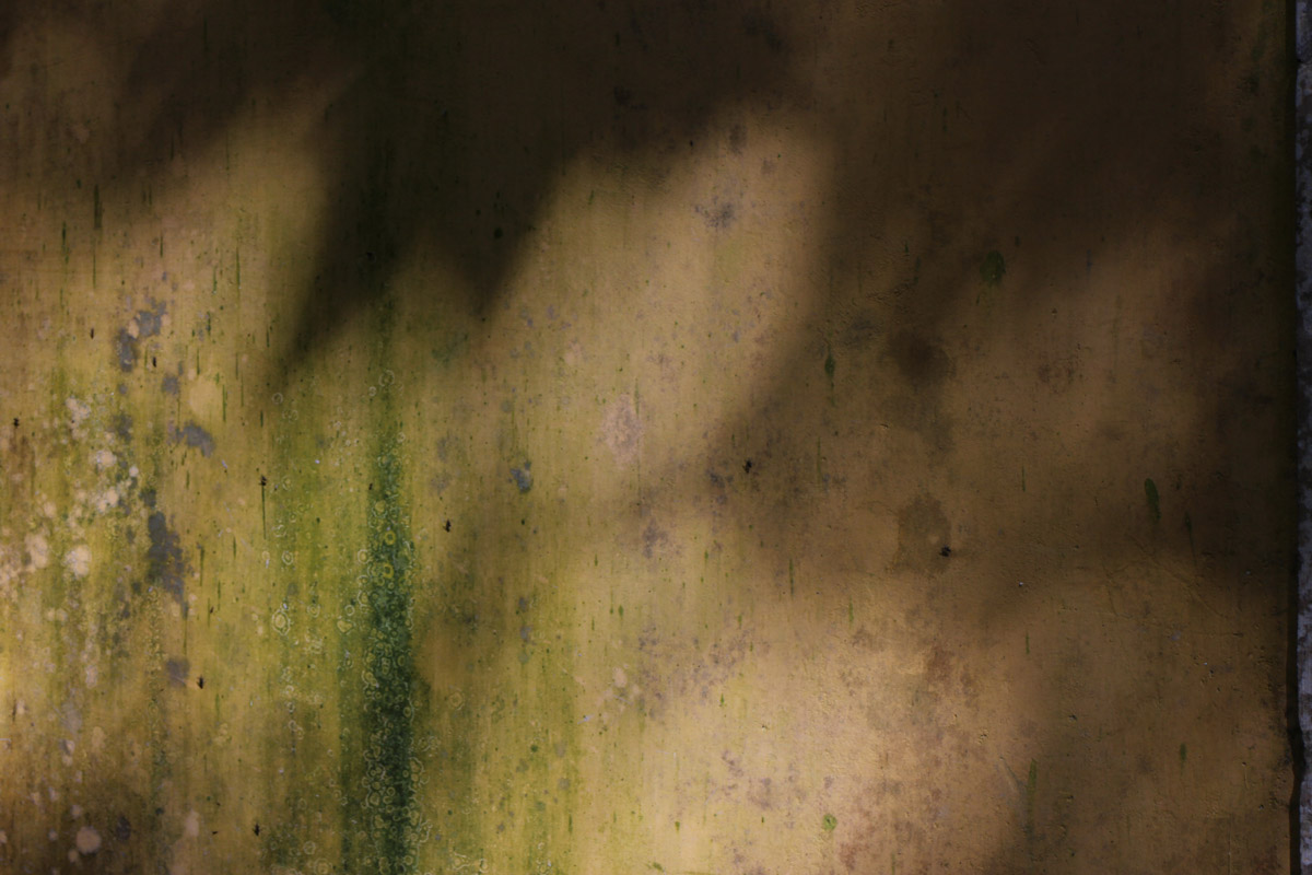 sopro photo by Joana Pimenta