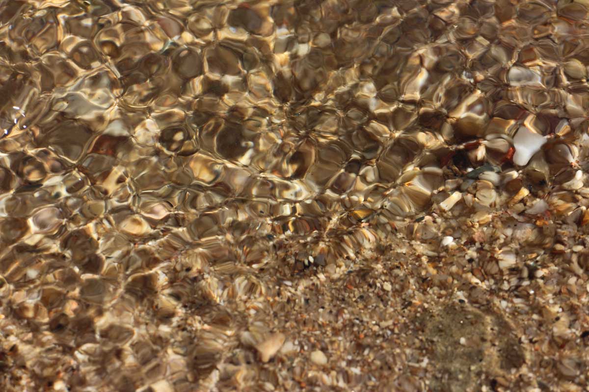 vivi photo by Joana Pimenta